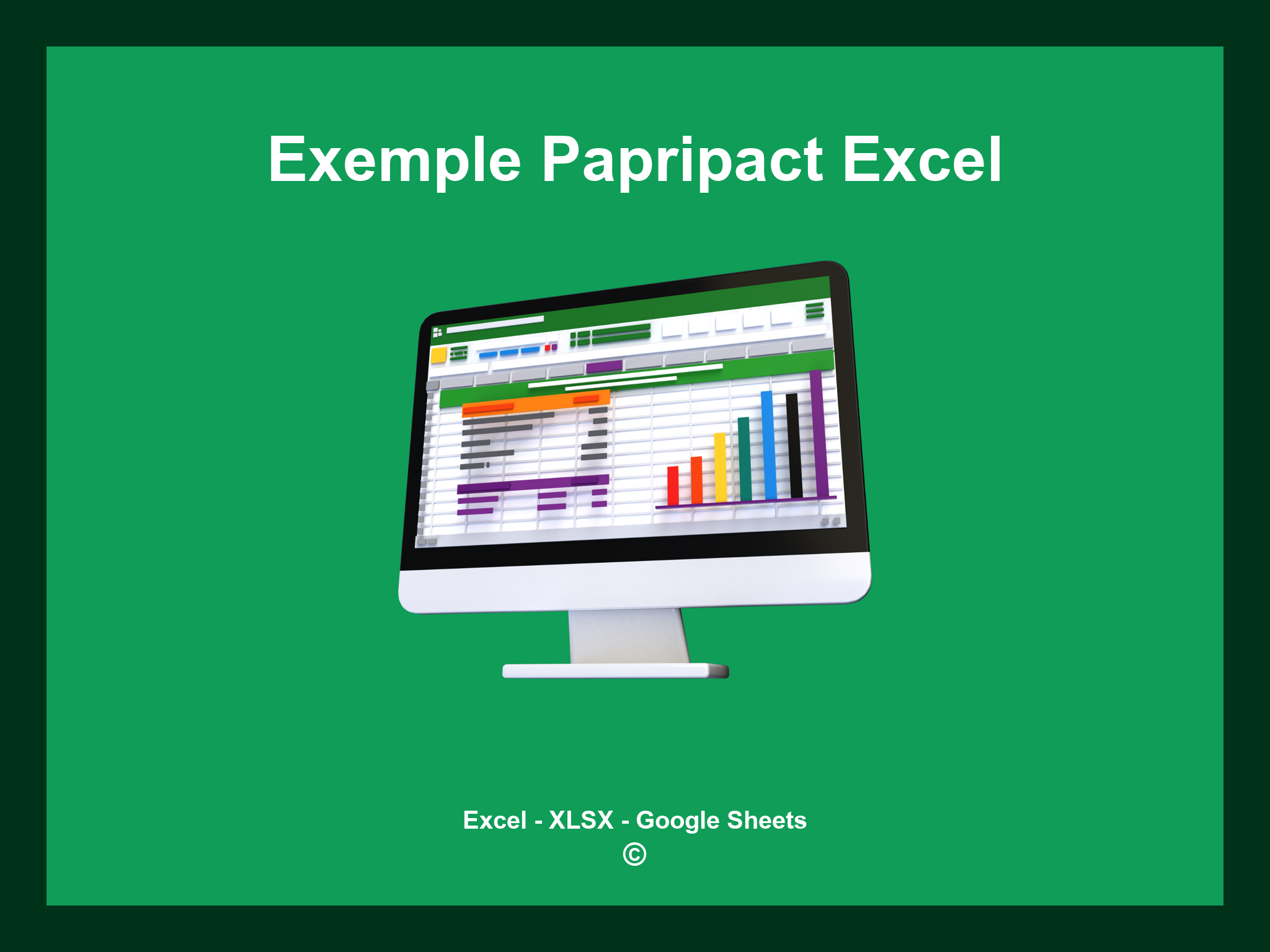 Exemple Papripact Excel
